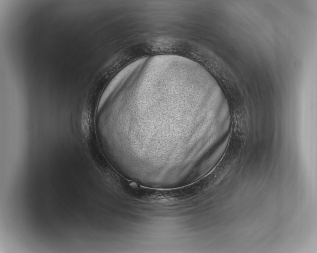 X0000101420648200807211130