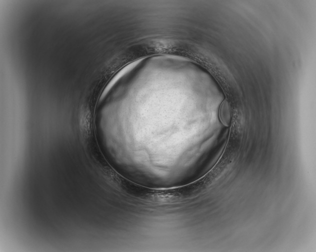 X0000101420650200807211130