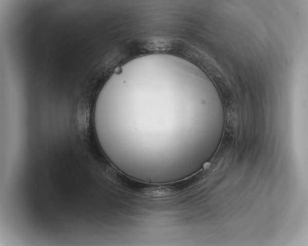 X0000101420652200807211130