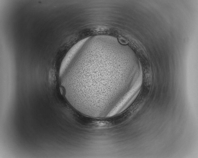 X0000101420654200807211130