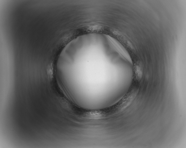X0000101420668200807211130