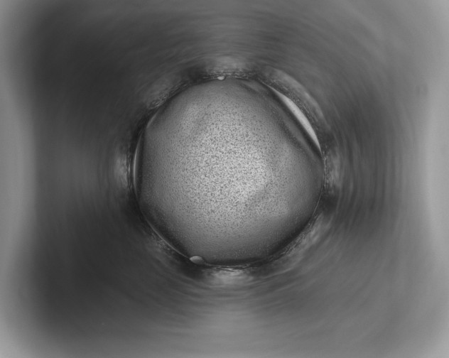 X0000101420669200807211130