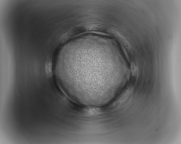 X0000101420670200807211130
