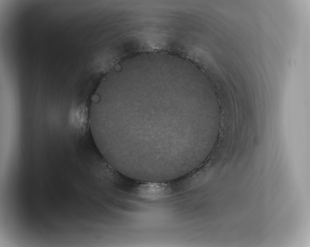 X0000101420672200807211130
