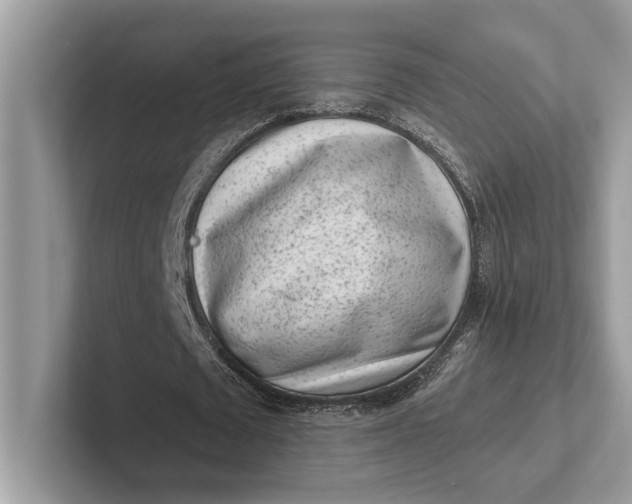 X0000101420673200807211129