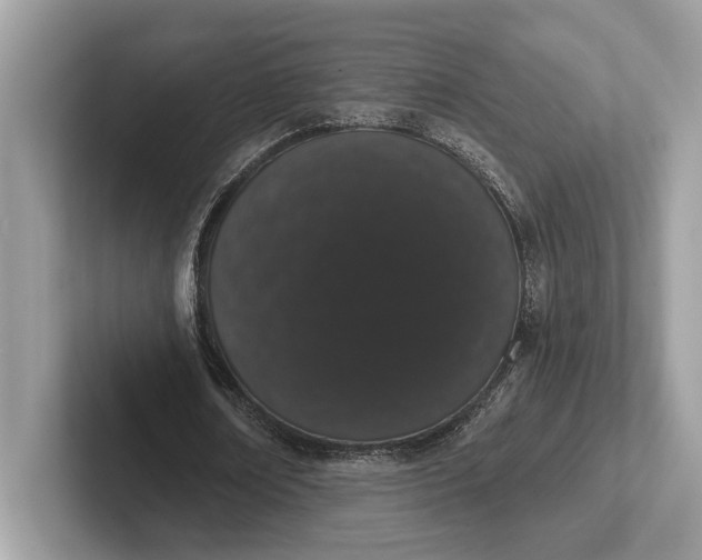 X0000101420674200807211129