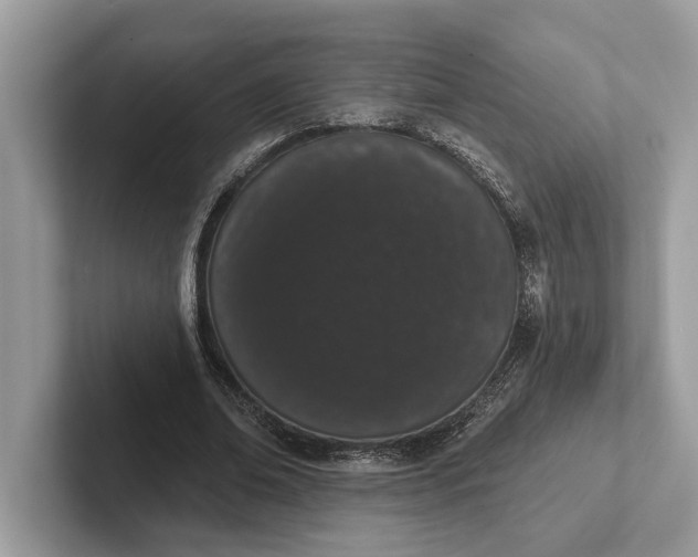 X0000101420678200807211129