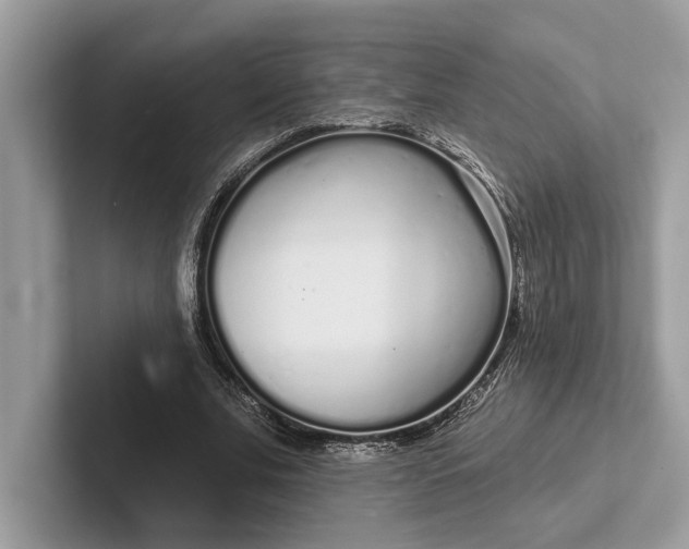 X0000101420679200807211129