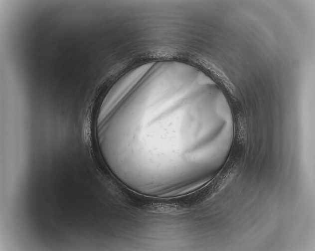 X0000101420681200807211129
