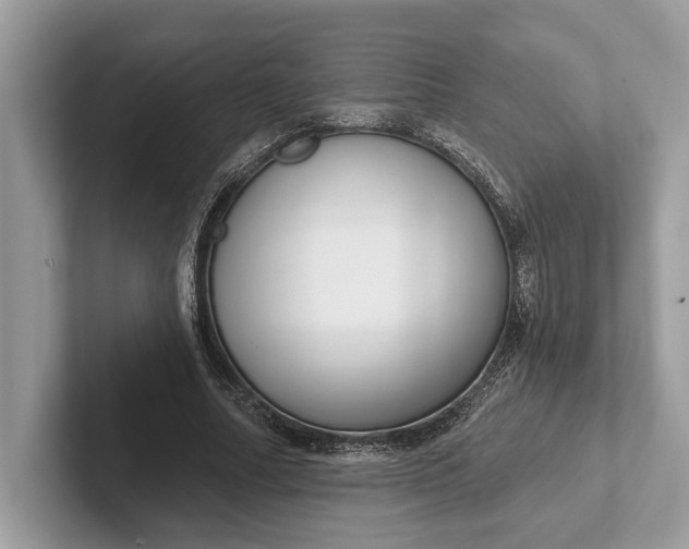 X0000101420682200807211129