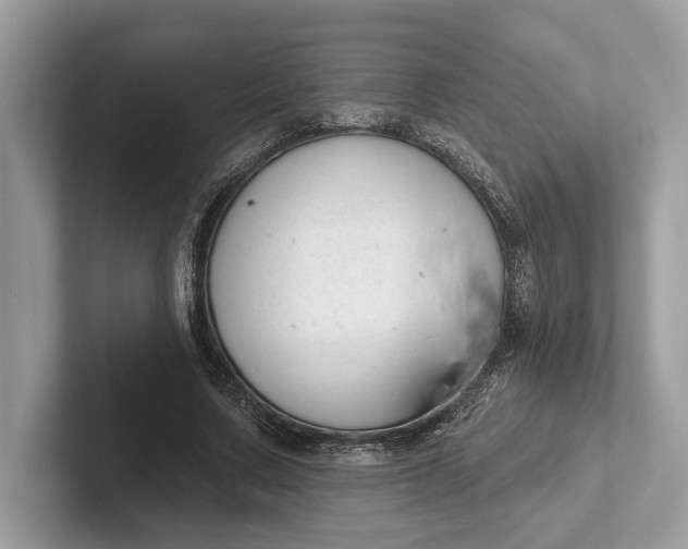 X0000101420683200807211129