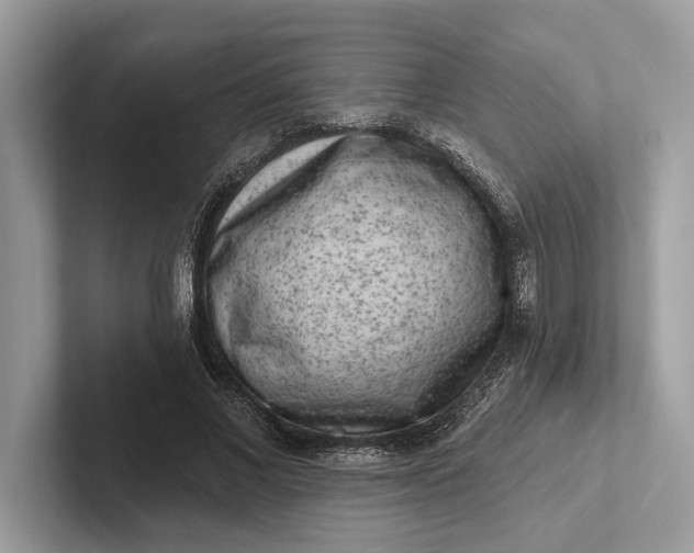 X0000101420685200807211129