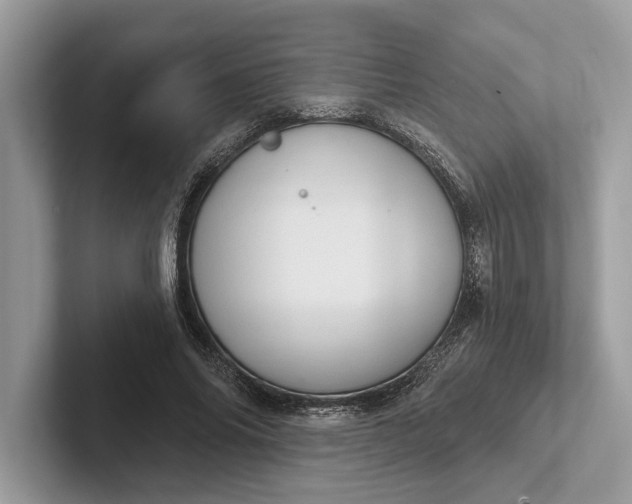 X0000101420686200807211129