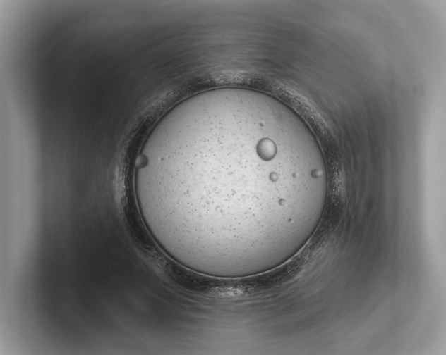 X0000101420687200807211129