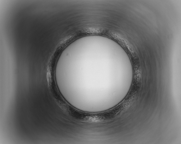 X0000101420688200807211129