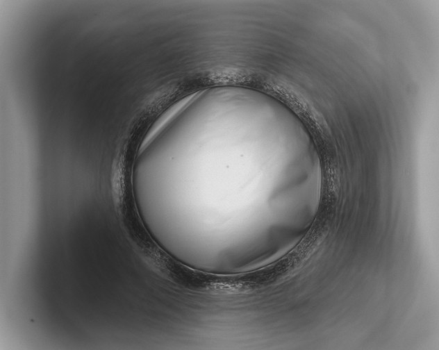 X0000101420690200807211129