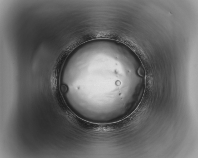 X0000101420691200807211129