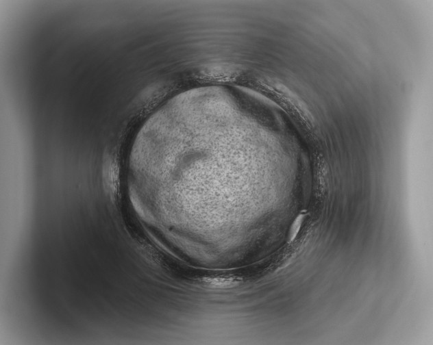 X0000101420693200807211129