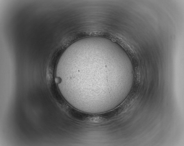 X0000101420695200807211129