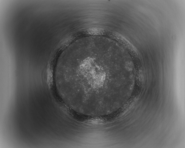 X0000101420696200807211129