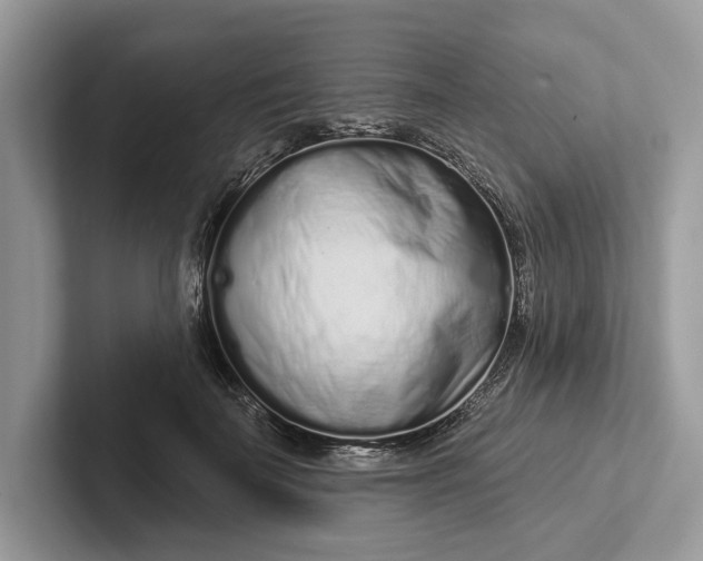 X0000101420699200807211129