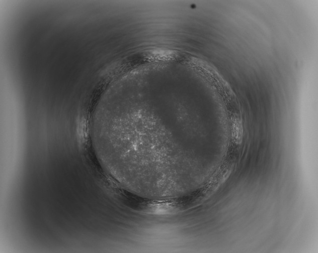 X0000101420701200807211129