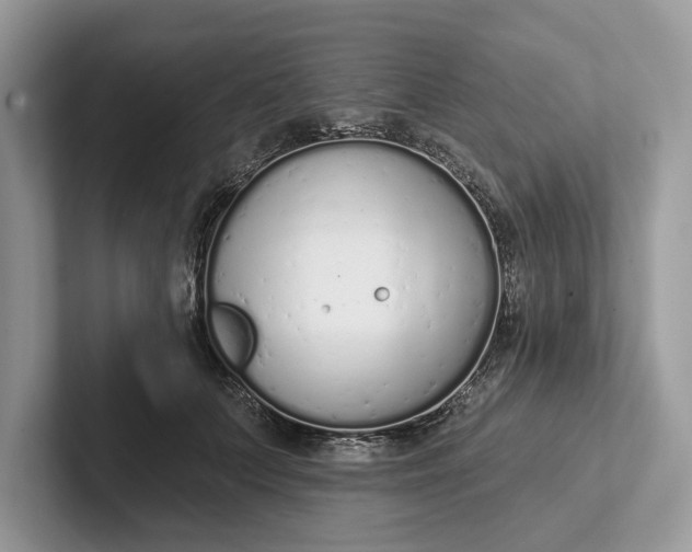 X0000101420703200807211129