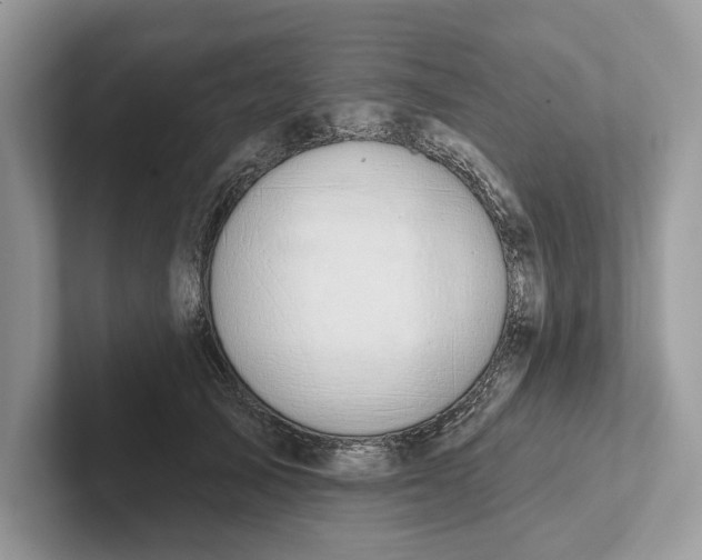 X0000101420705200807211129