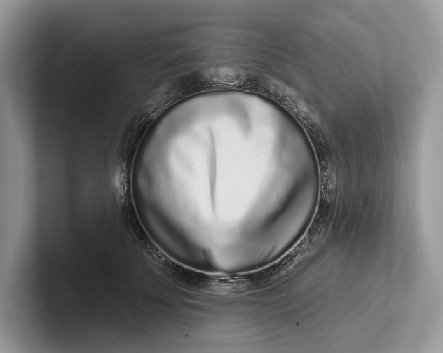 X0000101420707200807211129