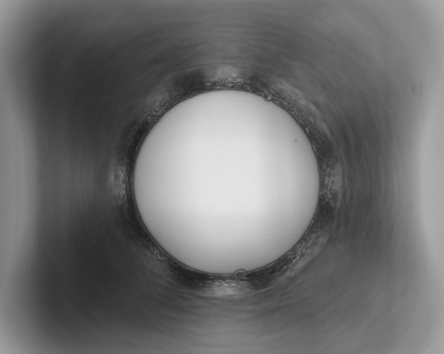 X0000101420708200807211129
