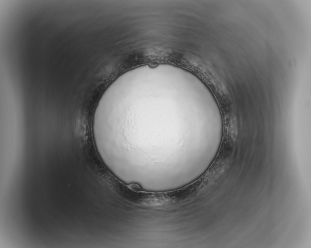 X0000101420712200807211129