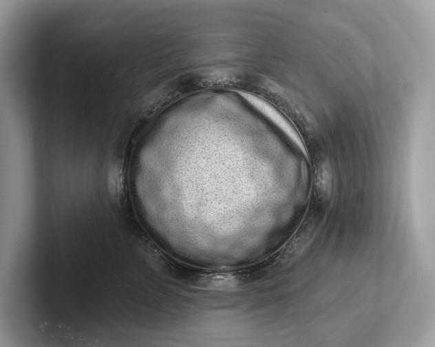 X0000101420715200807211129