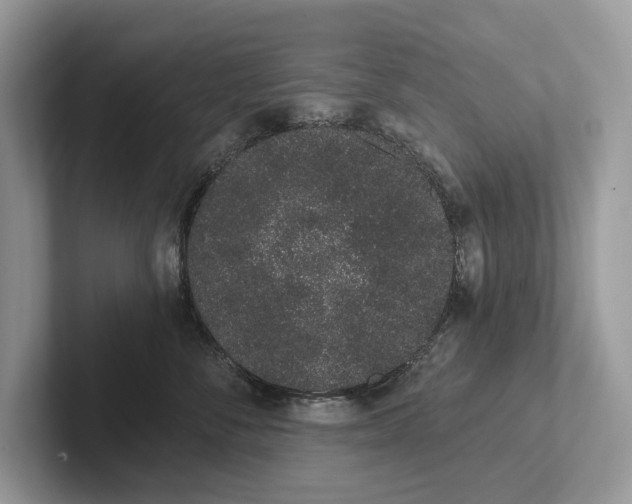 X0000101420716200807211129