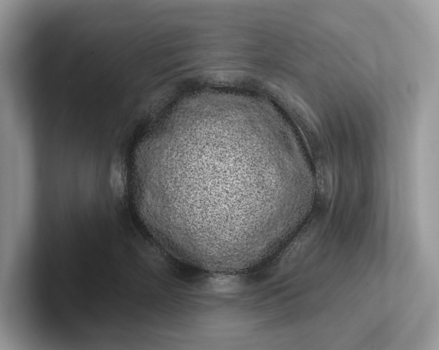 X0000101420718200807211129
