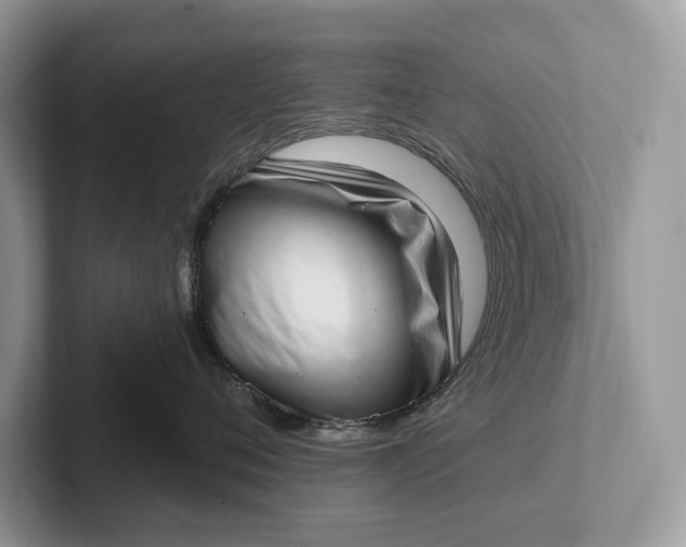 X0000101420720200807211129
