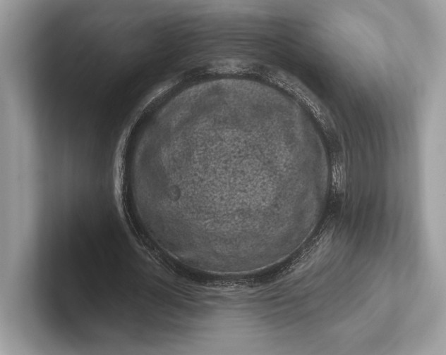 X0000101420724200807211128