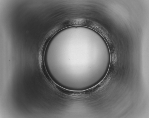 X0000101420725200807211128