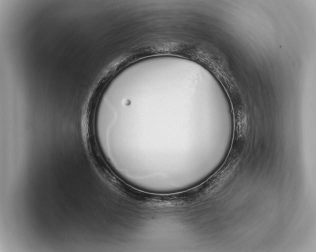X0000101420726200807211128