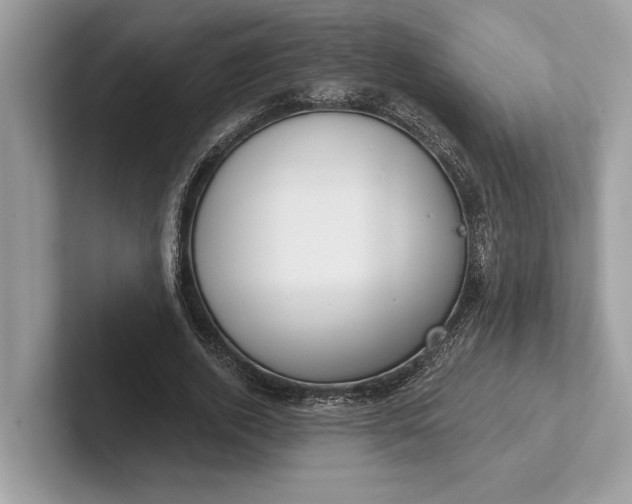 X0000101420728200807211128