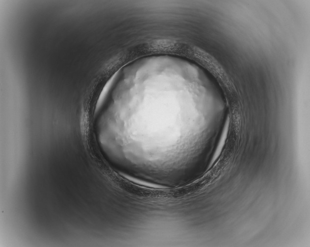 X0000101420729200807211128