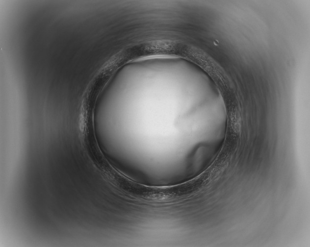 X0000101420735200807211128