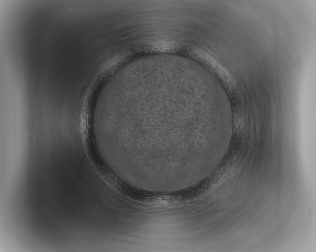X0000101420736200807211128