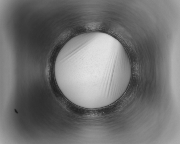 X0000101420738200807211128