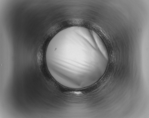 X0000101420739200807211128