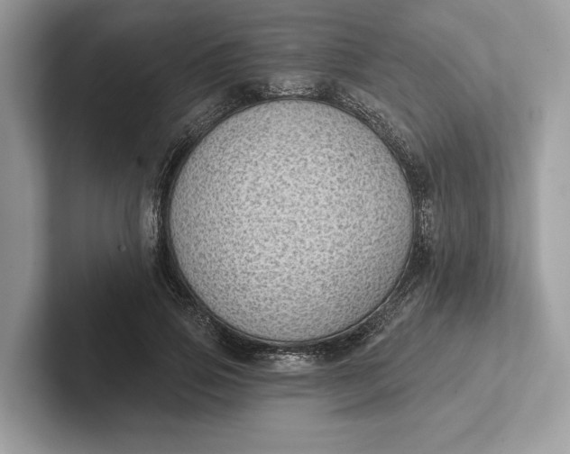 X0000101420741200807211128