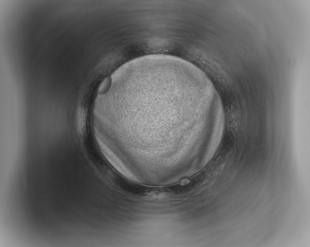 X0000101420742200807211128