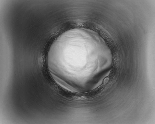 X0000101420747200807211128
