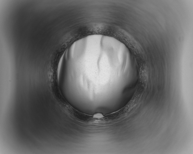 X0000101420750200807211128