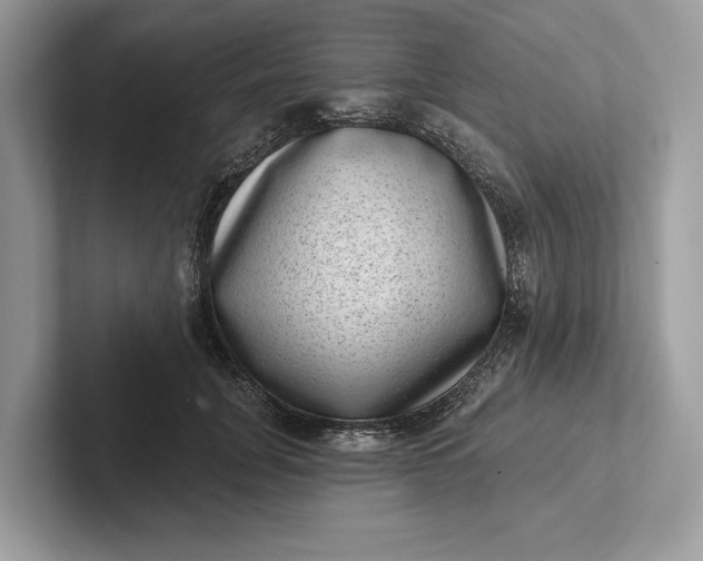 X0000101420751200807211128
