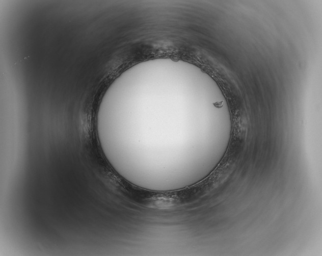 X0000101420756200807211128